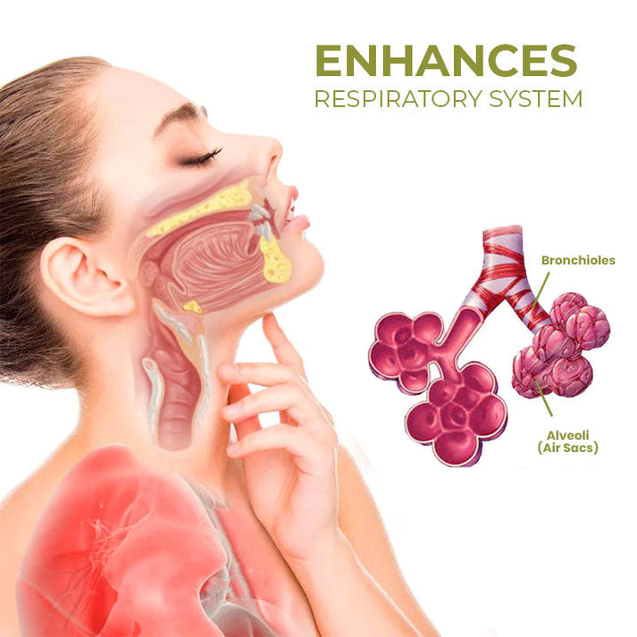 BreatheWell Natural Herbal Spray לתמיכה בריאות ונשימה